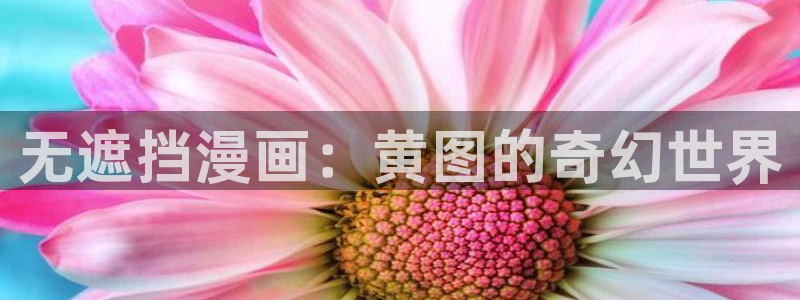 羞羞漫画画sss：无遮挡漫画：黄图的奇幻世界